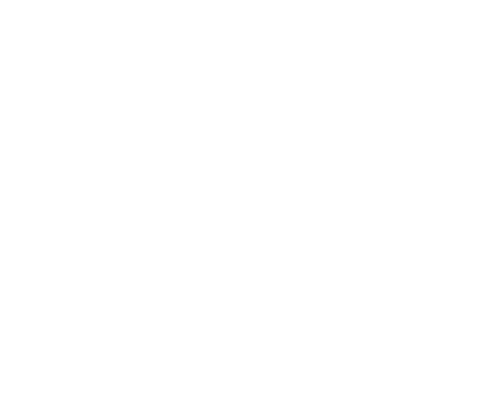 SpeedoExpress Logo